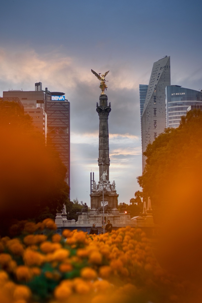 Ciudad de México - Ángel de la Independencia